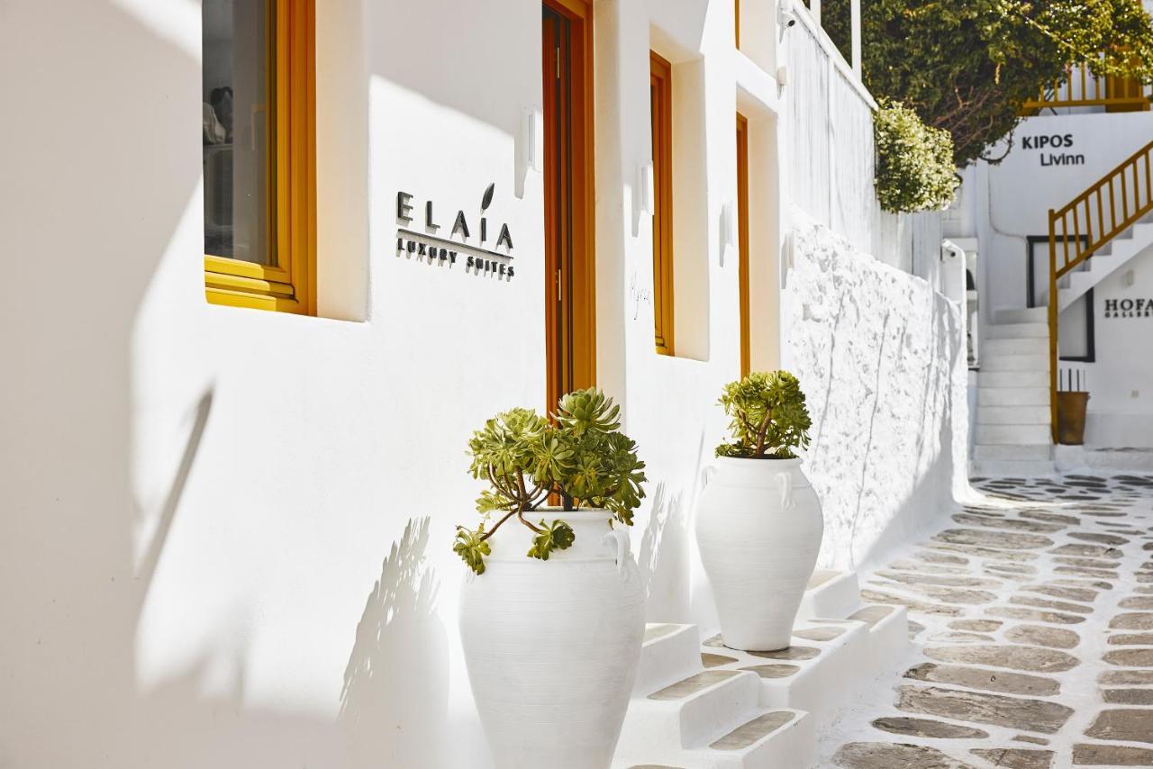 Elaia Luxury Suites Mykonos Mykonos Town Zewnętrze zdjęcie