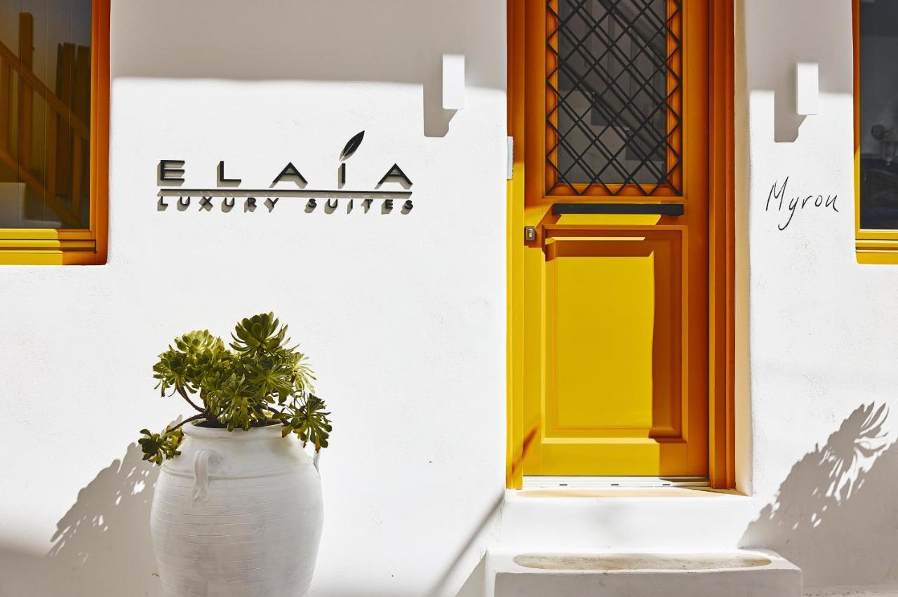 Elaia Luxury Suites Mykonos Mykonos Town Zewnętrze zdjęcie