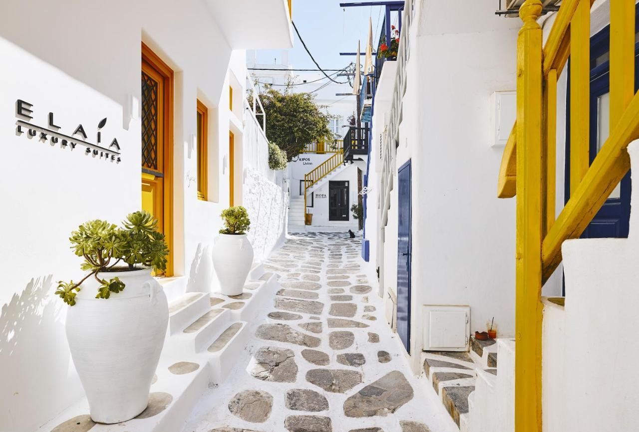 Elaia Luxury Suites Mykonos Mykonos Town Zewnętrze zdjęcie