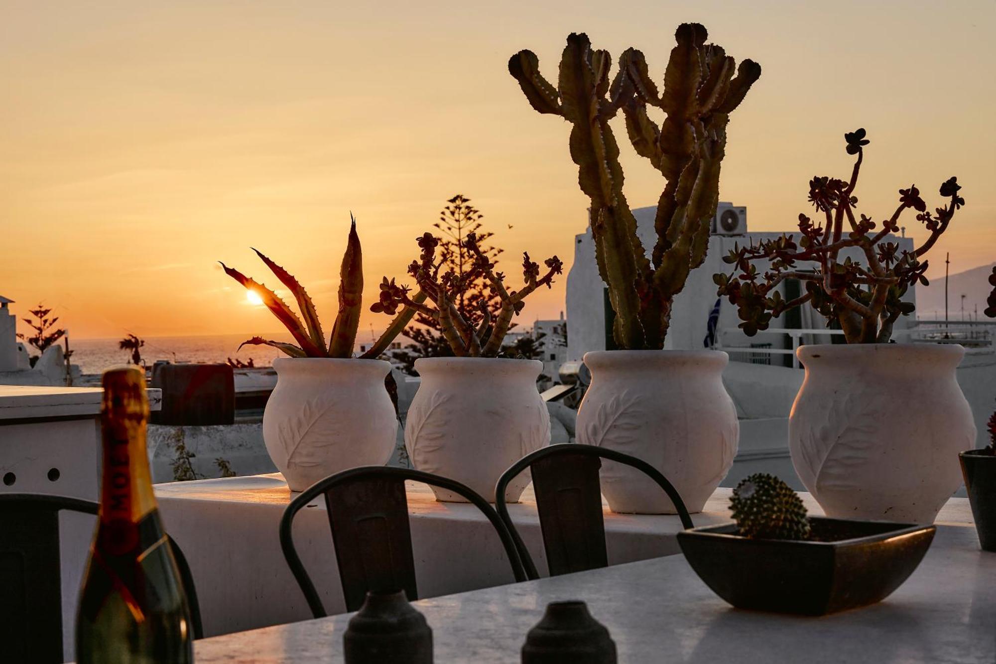 Elaia Luxury Suites Mykonos Mykonos Town Zewnętrze zdjęcie