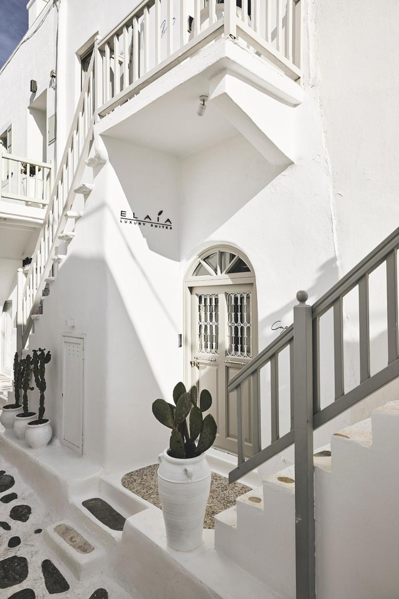Elaia Luxury Suites Mykonos Mykonos Town Zewnętrze zdjęcie